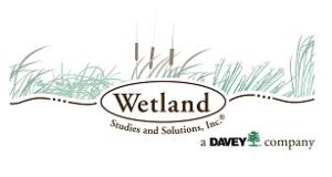 Wetland Studies Logo