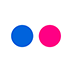 Branded Flickr icon