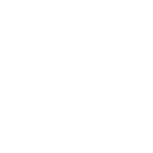 Instagram social media link icon